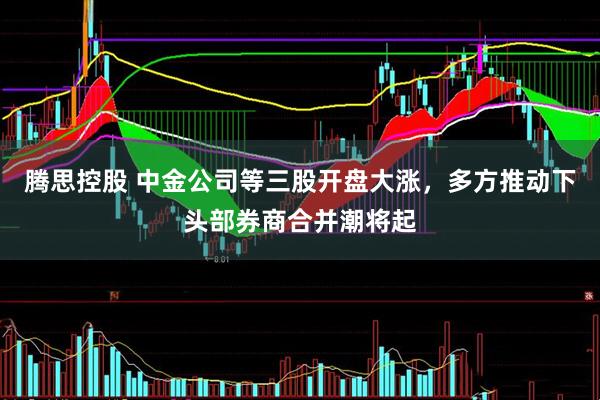 腾思控股 中金公司等三股开盘大涨，多方推动下头部券商合并潮将起