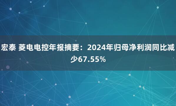 宏泰 菱电电控年报摘要：2024年归母净利润同比减少67.55%